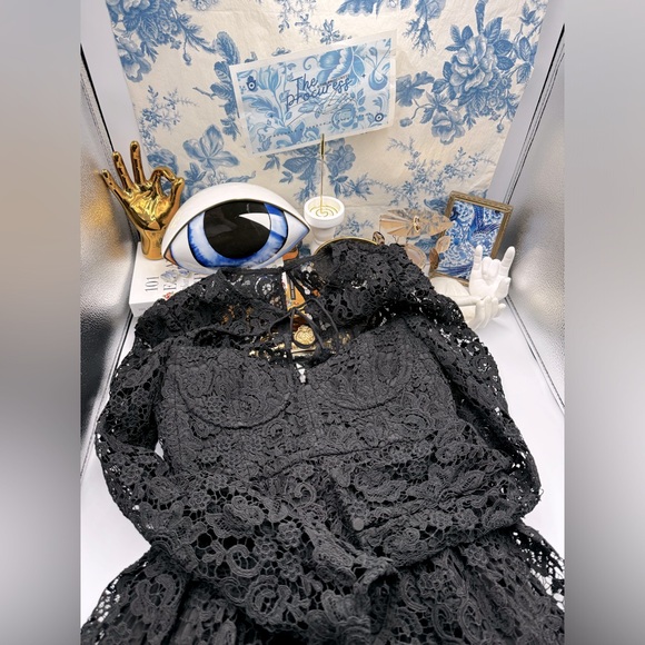 🆕 SELF-PORTRAIT 🧿 BNWOT Black Lace Tie-Neck Minidress, Sz US 2 / UK 6 - Picture 2 of 16